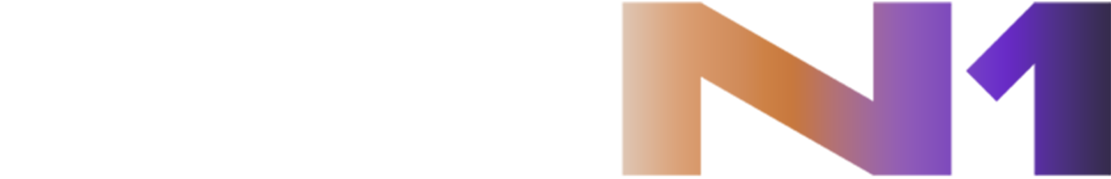 Logo N1